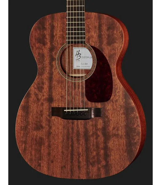 Harley Benton Custom Line CLA-15M, lähikuva 4