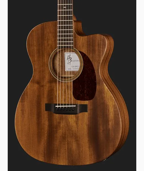 Harley Benton Custom Line CLA-15MCE w/Bag, lähikuva 4