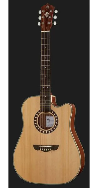 Harley Benton Custom Line CLD-1048SCE NS, lähikuva 2