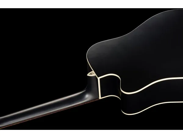 Harley Benton Custom Line CLD-10SCE-12 w/Bag, lähikuva 5