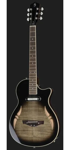 Harley Benton  Nashville-Steel, lähikuva 2