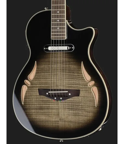 Harley Benton  Nashville-Steel, lähikuva 4