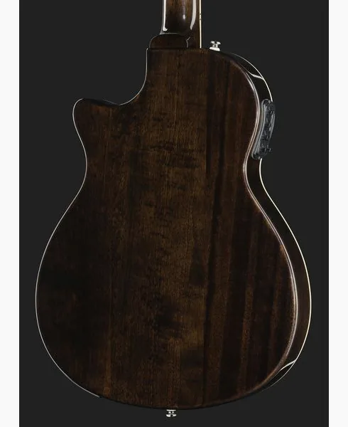 Harley Benton  Nashville-Steel, lähikuva 5