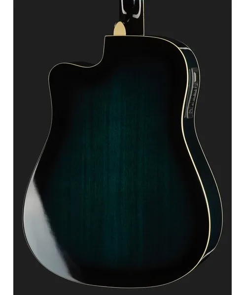 Harley Benton D-120CE TB, lähikuva 5