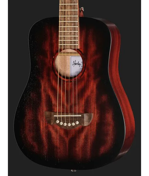 Harley Benton Delta Blues T, lähikuva 4