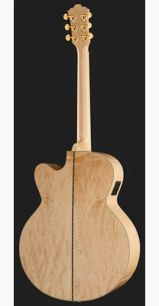 Harley Benton Custom Line King-CE, lähikuva 3