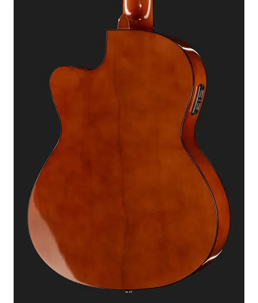 Harley Benton CG300CE NT, lähikuva 5
