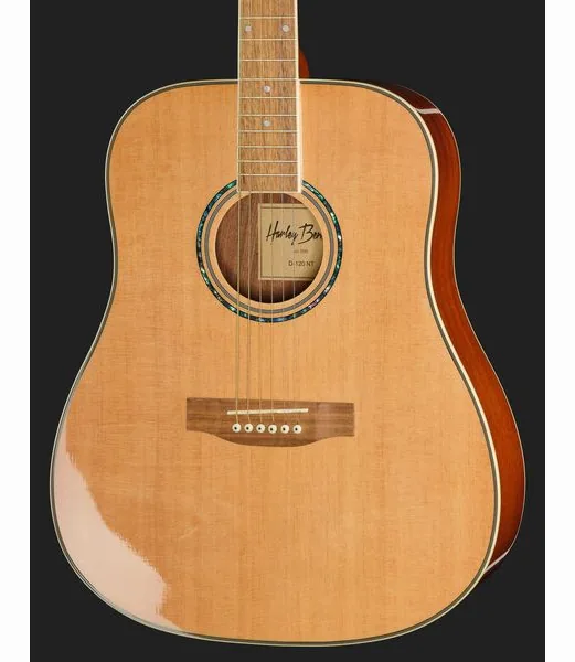 Harley Benton D-120NT, lähikuva 4