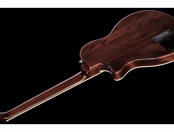 Harley Benton Nashville Nylon Plus BK w/Bag, lähikuva 4