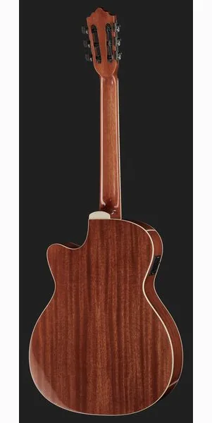 Harley Benton Santos Series C-40SCE N w/Bag, lähikuva 3