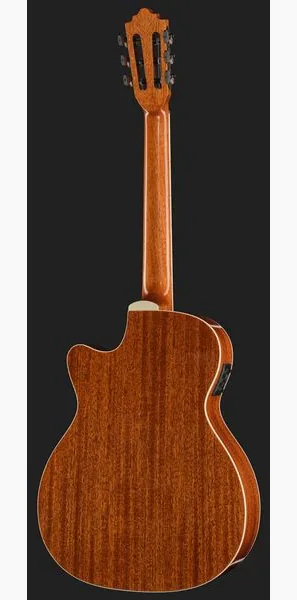 Harley Benton Santos C-40SCE, lähikuva 3