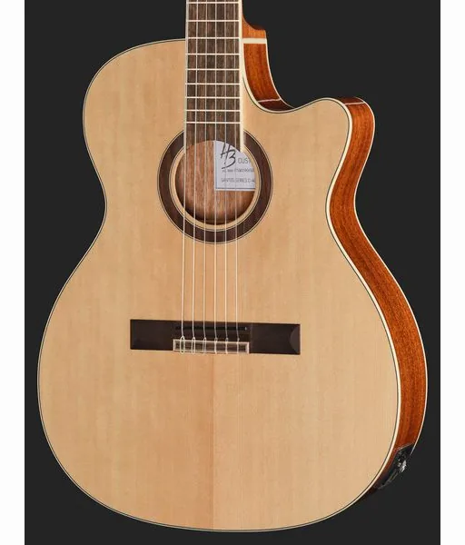 Harley Benton Santos C-40SCE, lähikuva 4