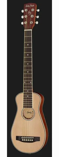 Harley Benton Traveler-Steel, lähikuva 2