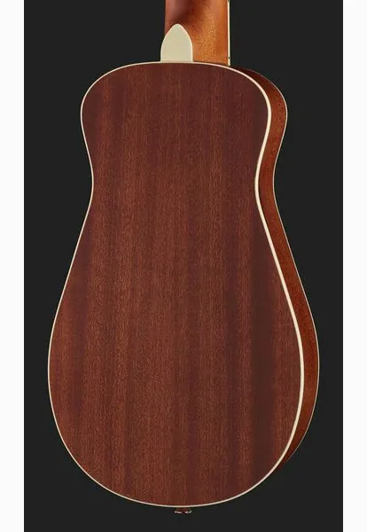 Harley Benton Traveler-Steel, lähikuva 5