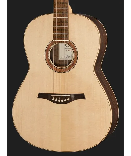 Höfner HA-CS2025 Steelstring, lähikuva 4