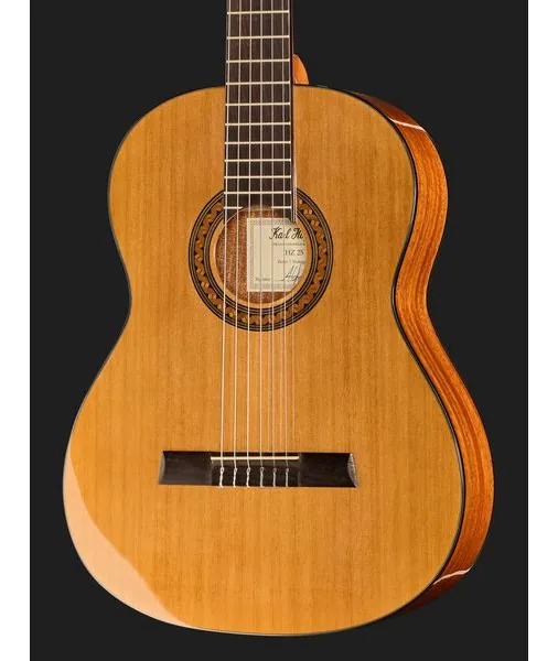 Höfner HZ25, lähikuva 4