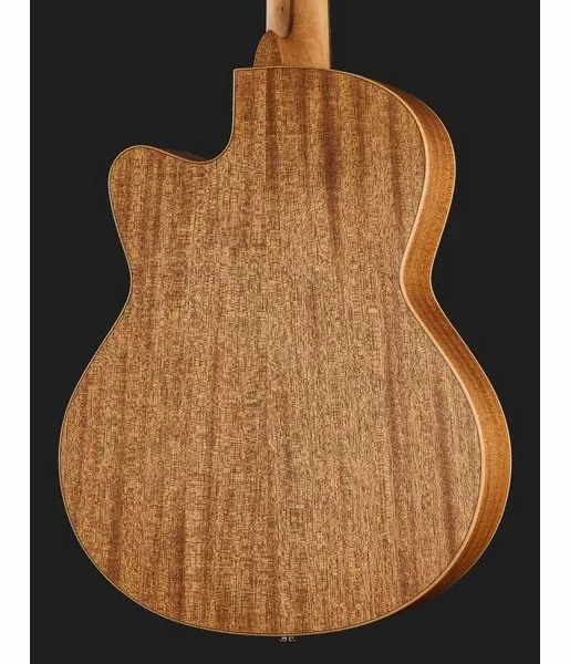 Höfner Meister Series HM65-F-CE, lähikuva 5