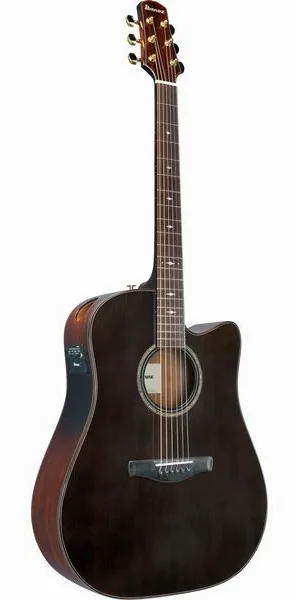 Ibanez AAD361CE-TKR, lähikuva 2