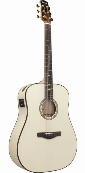 Ibanez AAD371E-ATW, lähikuva 2