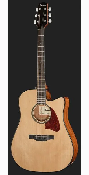 Ibanez AAD51CE-NT, lähikuva 2