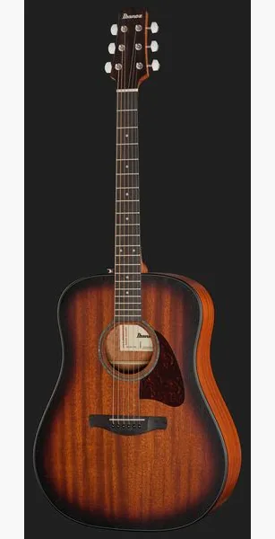 Ibanez AAD54E-OMH, lähikuva 2