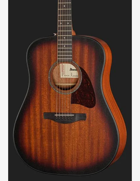 Ibanez AAD54E-OMH, lähikuva 4