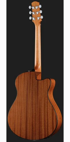 Ibanez AAM50LCE-OLB, lähikuva 3