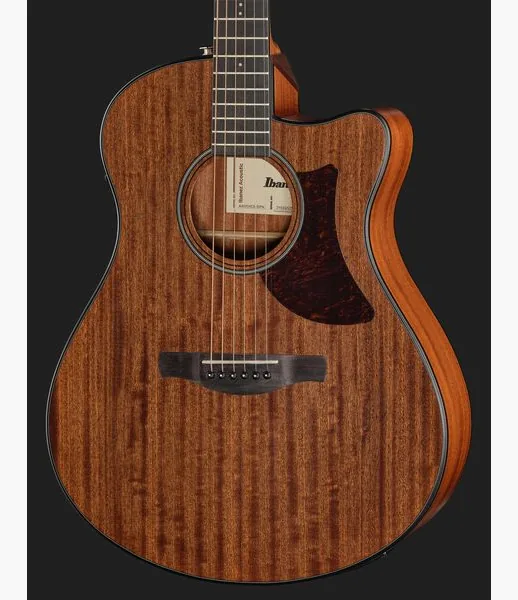 Ibanez AAM54CE-OPN, lähikuva 4