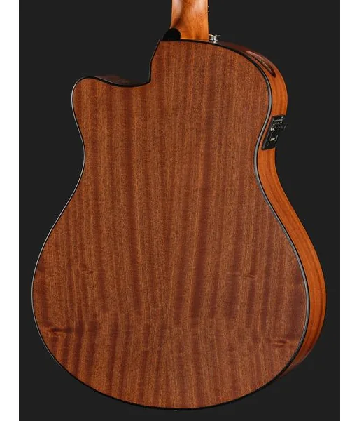 Ibanez AAM54CE-OPN, lähikuva 5