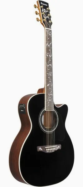 Ibanez AC391RCE-BKH, lähikuva 2
