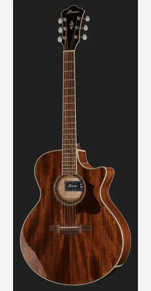 Ibanez AE245-NT, lähikuva 2