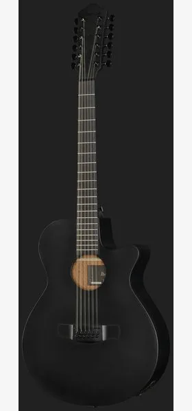Ibanez AEG1221-BOT, lähikuva 2
