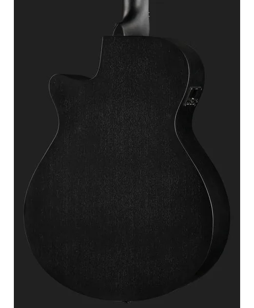 Ibanez AEG1221-BOT, lähikuva 5