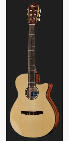 Ibanez AEG50N-NT Nylon, lähikuva 2