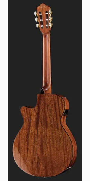 Ibanez AEG50N-NT Nylon, lähikuva 3