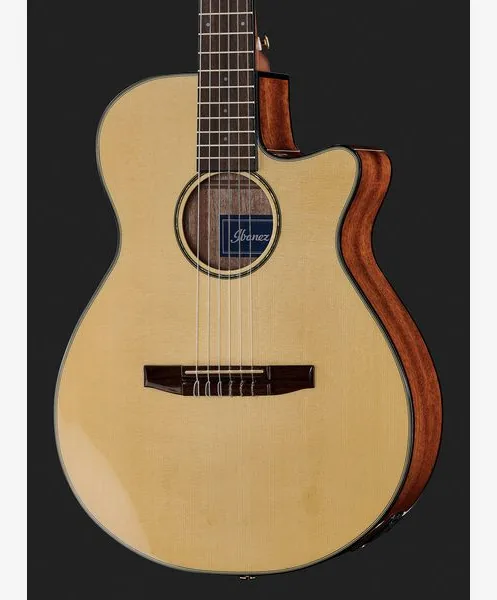 Ibanez AEG50N-NT Nylon, lähikuva 4