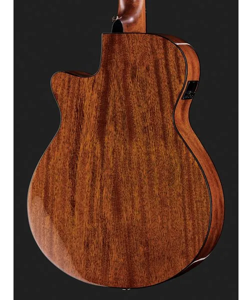 Ibanez AEG50N-NT Nylon, lähikuva 5