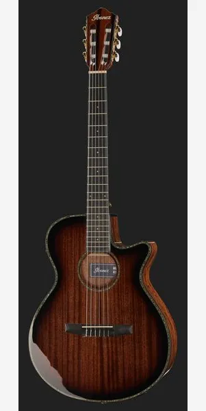 Ibanez AEG74N-MHS, lähikuva 2