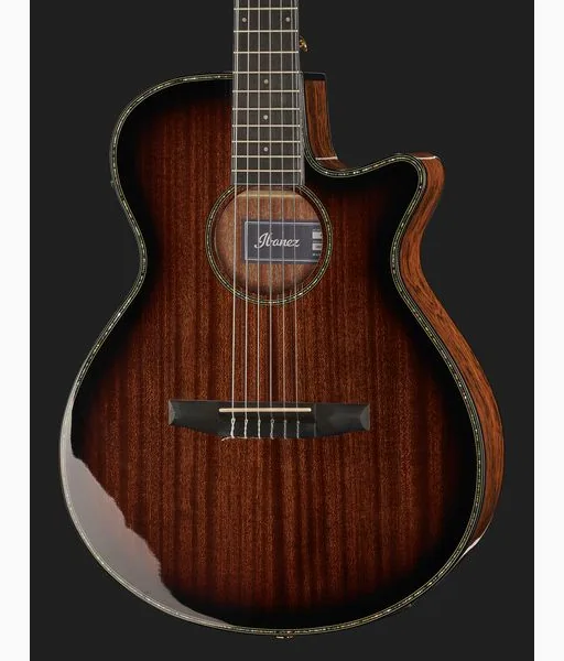 Ibanez AEG74N-MHS, lähikuva 4