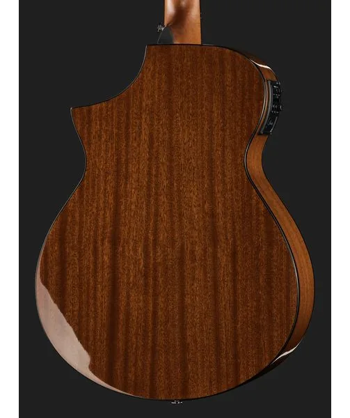 Ibanez AEWC11-DVS, lähikuva 5