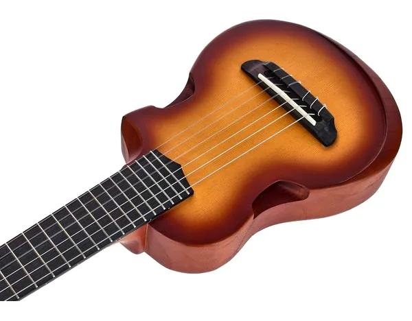Ibanez AUP10N-OLB, lähikuva 5