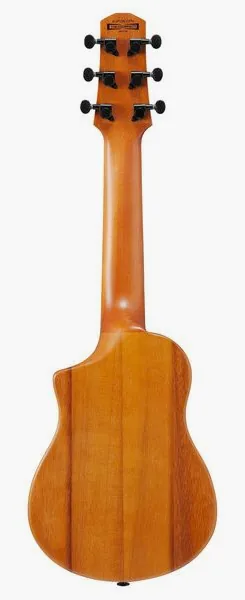Ibanez AUP10N-OPN, lähikuva 2