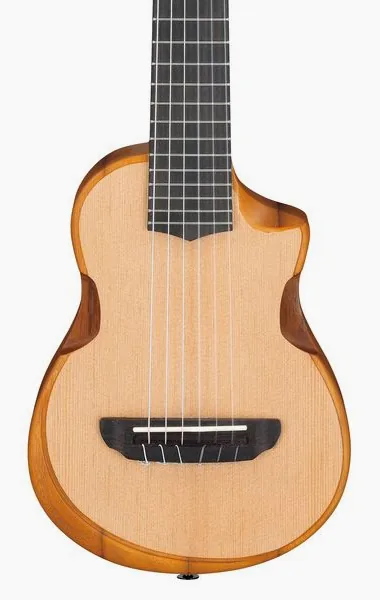 Ibanez AUP10N-OPN, lähikuva 4
