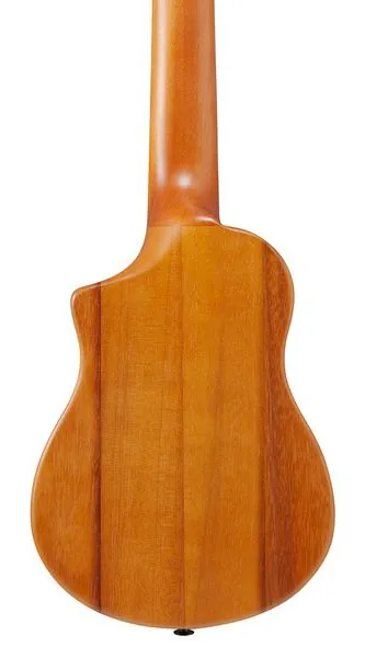 Ibanez AUP10N-OPN, lähikuva 5