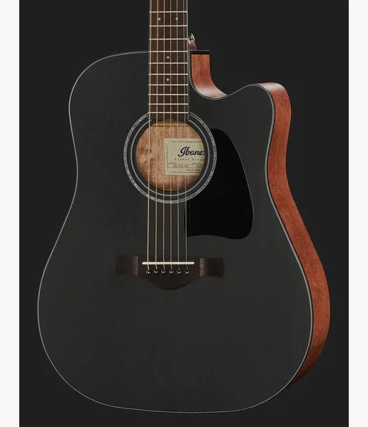 Ibanez AW247CE-WKH, lähikuva 4
