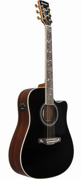 Ibanez AW391RCE-BKH, lähikuva 2