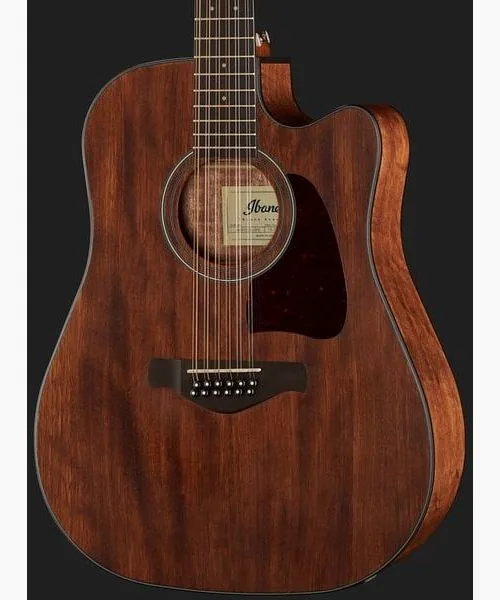 Ibanez AW5412CE-OPN Artwood, lähikuva 4