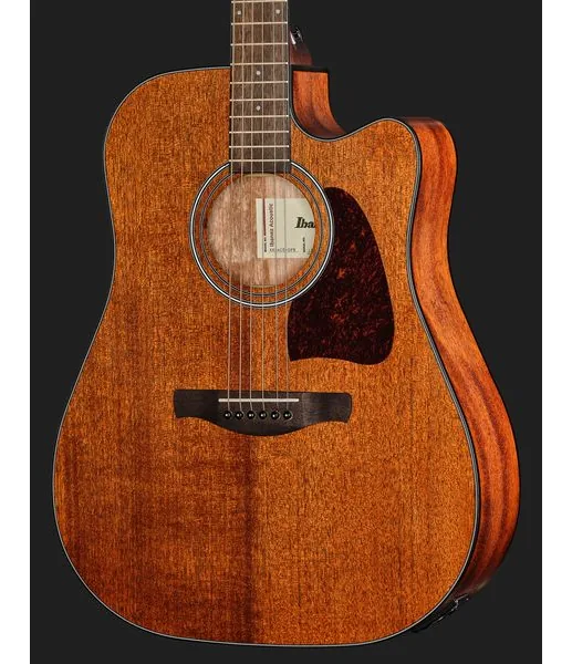 Ibanez AW54CE-OPN, lähikuva 4