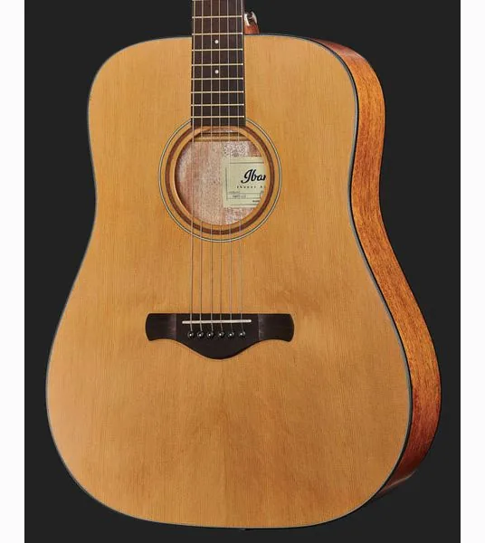 Ibanez AW65-LG, lähikuva 4