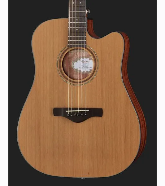 Ibanez AW65ECE-LG, lähikuva 4